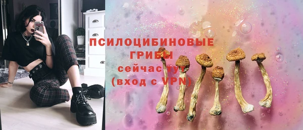 а пвп мука Тавда