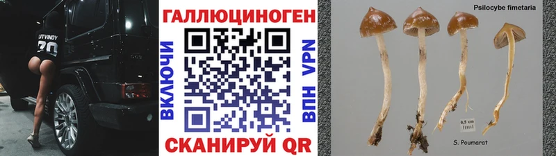 Псилоцибиновые грибы мухоморы  Купить закладки  Уссурийск 